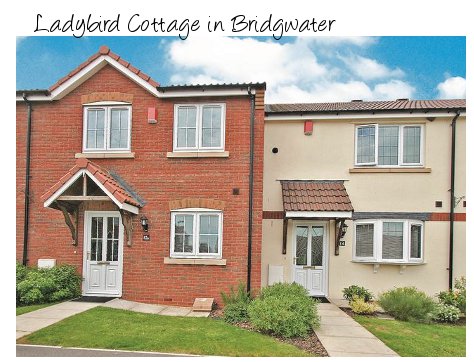 Ladybird Cottage consist of two modern holiday cottages near the Somerset town of Bridgwater
