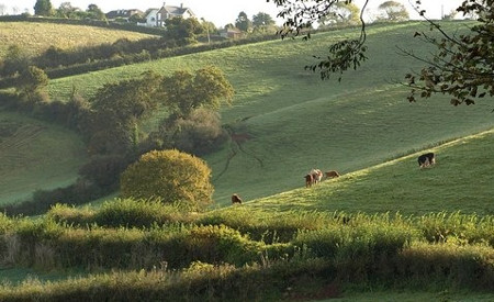 The relaxed setting around Manor Farm in Daccombe, near Torquay