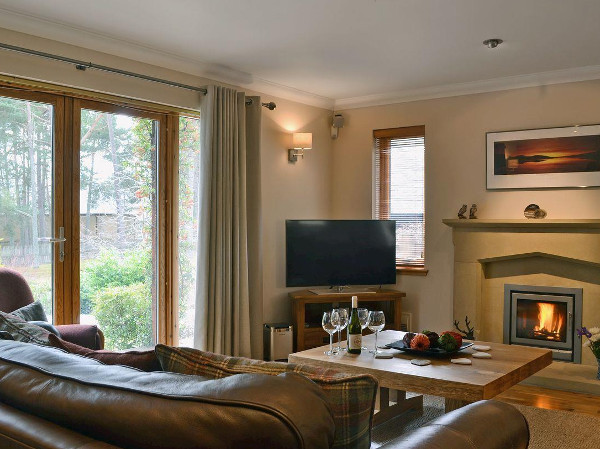 The living room with wood burning stove at Wildwood in Boat of Garten